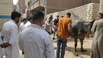 مبادرة حياة كريمة..جامعة سوهاج تطلق قافلتها التنموية لقرية الديابات