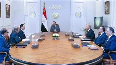 الرئيس السيسي يعقد اجتماعًا لمتابعة خطة إصلاح وتطوير شركات  قطاع الأعمال العام