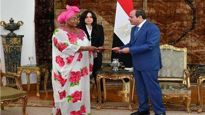 السيسي يلتقي برئيس مجلس الشيوخ بغينيا الاستوائية