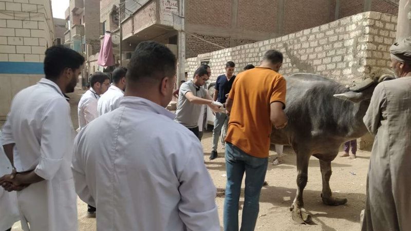 جامعة سوهاج