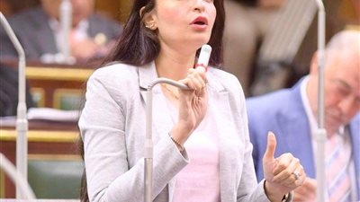 خاص|النائبة إيرين سعيد:  يجب تشجيع الاستثمار في مشاريع إنتاج الجلاتين من مخلفات الحيوانات