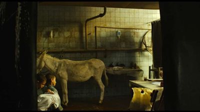 الفيلم المصري 