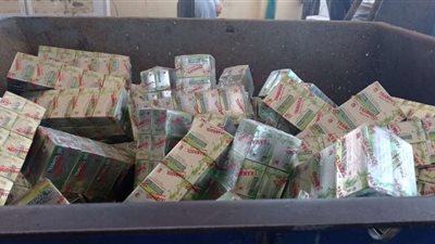 بالصور| دفن 13 طن من مخدر التامول بالناصرية للمخلفات الخطرة بالإسكندرية