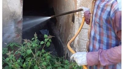 عاجل.. كارثة جديدة تحتاج بريطانيا بسبب الفئران