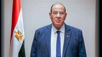 برلماني يكشف موعد تطبيق قرارات الرئيس بزيادة الأجور