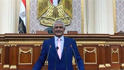 برلماني: قرارات الرئيس تعكس مدى انحيازه للبسطاء وشعوره بنبض الشارع