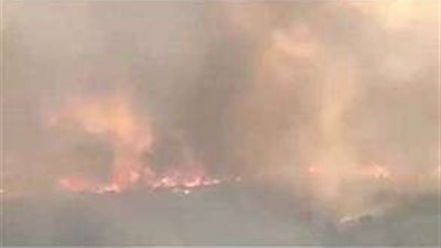 الجزائر تتعرض لكارثة حريق هائل بعد زلزال المغرب وفيضانات ليبيا.. فيديو