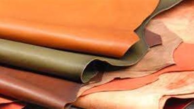 شعبة صناعة الجلود تشيد بدور القيادة السياسية في دعم القطاع الصناعي