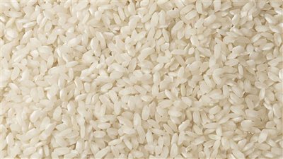 خاص| سر ارتفاع أسعار الأرز بالرغم من بدء موسم الحصاد