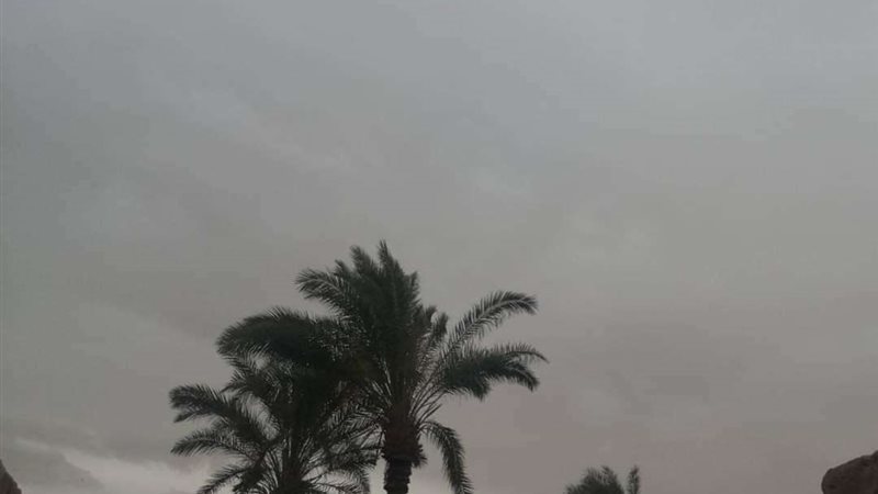 رياح نشطة