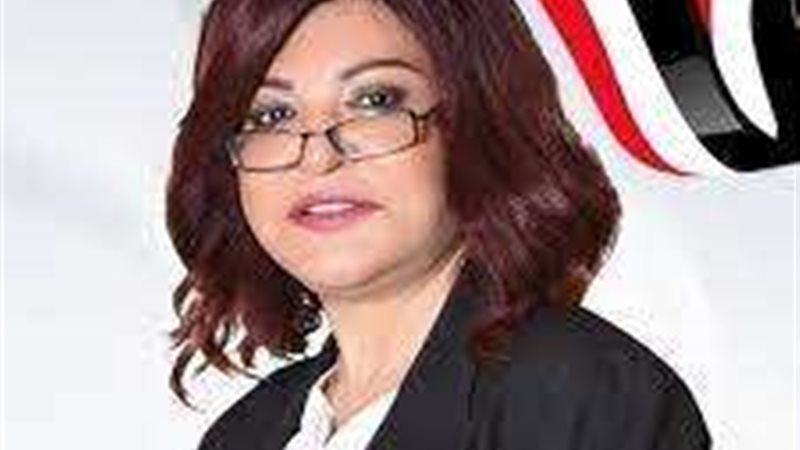 النائبة آمال عبدالحميد