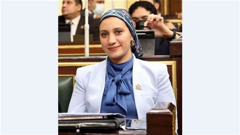 النائبة آية مدني