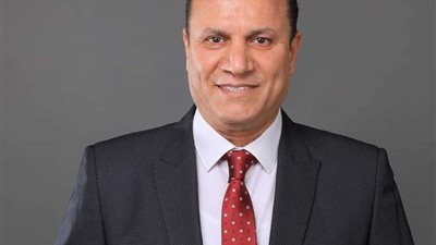 نائب يوضح أهمية توجيهات الرئيس للاستعانة بالخبرات العالمية لإنشاء مدينة ثقافية في العاصمة الإدارية