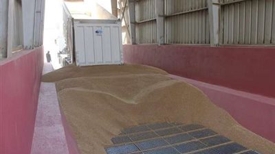 رقابة صارمة.. «صوامع الجيزة» تستقبل 183 ألف طن قمح