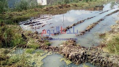 انسداد مواسير الصرف يتسبب في غرق الأراضي الزراعية بقرية طنبارة بالمحلة.. ومسؤول يرد (صور)