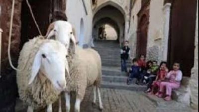 موعد عيد  الأضحى.. خبير فلكي يوضح