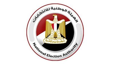 تعرف على أعمال الهيئة الوطنية للانتخابات.. فيديو