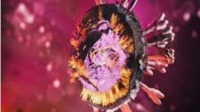 حصيلة وفيات كورونا حول العالم تقترب من 4 ملايين