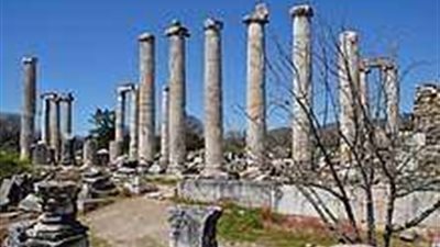 بالفيديو.. دلائل الاكتشاف الأثري لـ معبد أفروديت 