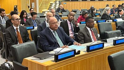 سامح شكري: قمنا بجهود كبيرة لمحاولة نزع فتيل الأزمة في السودان.. فيديو