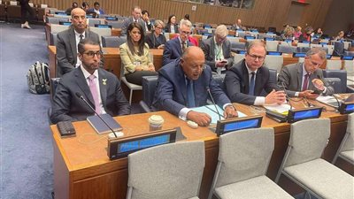 وزير الخارجية يلقي كلمة خلال قمة الطموح المناخي