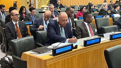 وزير الخارجية يلتقي بنظيره الباكستاني في نيويورك.. لهذا السبب