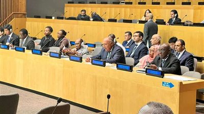 وزير الخارجية يشارك في اجتماع وزراء خارجية دول منظمة التعاون الإسلامي