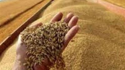 على متنها 18 آلف طن قمح .....الموانئ المصرية تستقبل الباخرة أوريات الأوكرانية