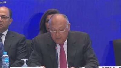 وزير الخارجية: الجمعية العامة للأمم المتحدة تنعقد في ظروف دولية شديدة الخصوصية