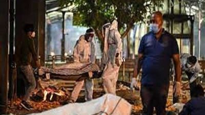 ينقل عن طريق الفم.. تعرف على أعراض فيروس الهربس