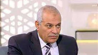 رئيس شعبة الدواجن: أسعار البيض اليوم مستقرة