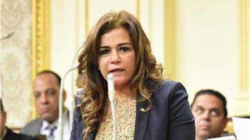 النائبة سحر طلعت
