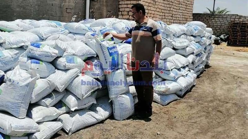 بلدنا اليوم