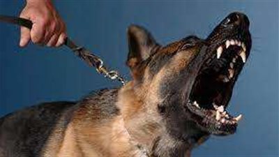 لـ جلسة 4 أكتوبر.. تأجيل محاكمة صاحب 