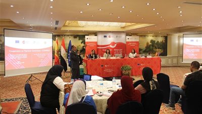 وزارة العمل: تعزيز مهارات مُفتشي العمل على مكافحة الهجرة غير الشرعية.. تنسيقًا مع 