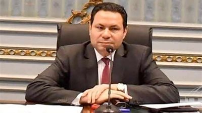 رئيس زراعة البرلمان: ملف الثروة الحيوانية يحظى باهتمام كبير من القيادة السياسية