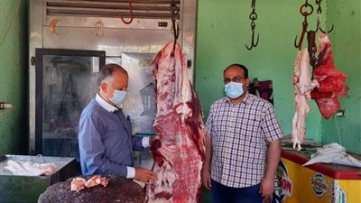 ضبط مخابز مخالفة ولحوم خارج السلخانة بالدقهلية