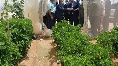 تعرف على صناعة الزرع الصناعي التي تدر ربحا خرافيا في مصر