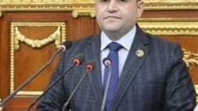 النائب شحاتة أبو زيد: مصر من الدول الجاذبة للاستثمارات الأجنبية
