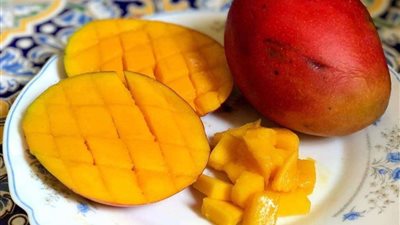 لماذا تأخر ظهور المانجو حتى الآن؟ نقيب عام الفلاحين يجيب