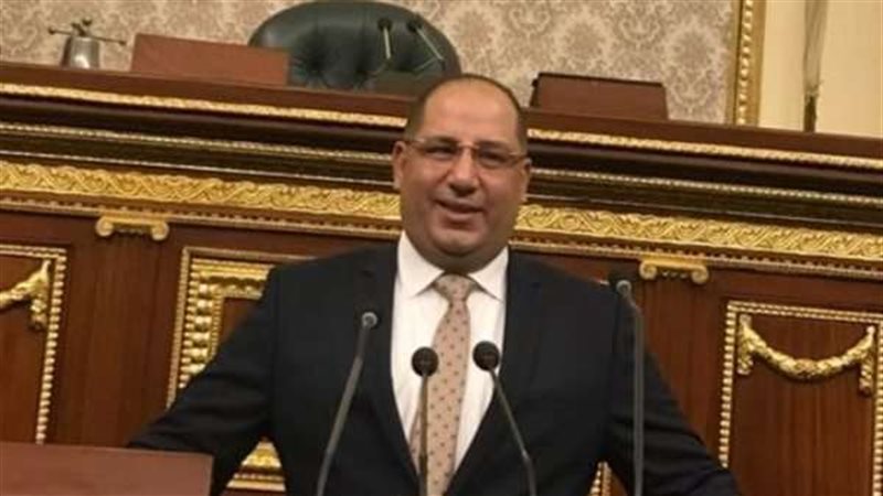 النائب أحمد نويصر