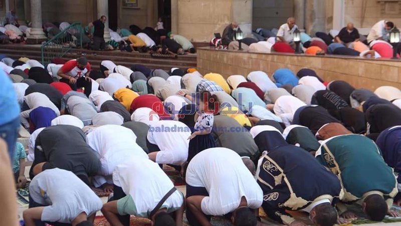 بلدنا اليوم