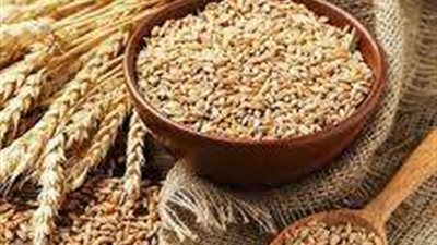 المتن غير كامل.. غدًا.. الجلسة 80 بالبورصة السلعية للتداول على القمح المستورد