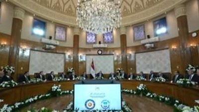 الرئيس السيسي يطلع على جهود جامعة طنطا