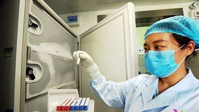 تُسبب ظاهرة فسيولوجية.. هروب البعوض الملقح بالفياجرا من مختبر ووهان