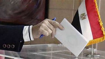 أستاذ قانون: يجوز التصويت للوافدين في أي مركز انتخابي بمصر |فيديو