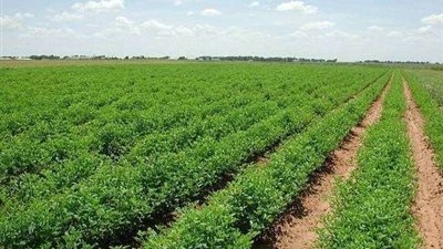 موعد تشغيل خدمات الاتصالات بأراضي الـ 1.5 مليون فدان بالمغرة