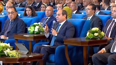 عاجل| الرئيس السيسي: ارتباط هام بين أداء ومشروعات وزارتي الكهرباء والبترول