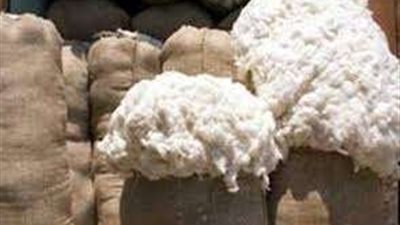 حقيقة تراجع سعر قنطار القطن وشعبة التجار تكشف التفاصيل