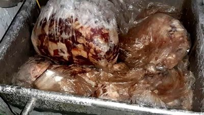 ضبط 2 طن لحوم مجمدة فاسدة فى حملة تموينية بالجيزة